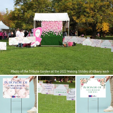 Making Strides Against Breast Cancer of Albany, NY - 